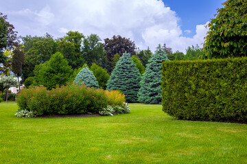 landscaped park with a garden bed and different trees and bushes on a turf lawn, evergreen and seasonal plants in the backyard on overcast weather.