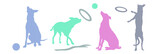 Fototapeta Koty - Greyhound dog vector illustration