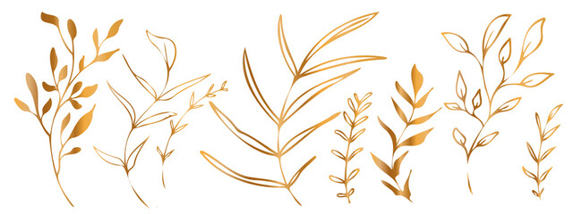 Vector plants and grasses in gold style with shiny effects. Minimalist style. Hand drawn plants. With leaves and organic shapes. For your own design.