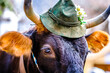 nice cow with bavarian hat