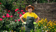 © bondvit - Portrait of a Senior woman gardener in a hat working in her yard with roses. The concept of gardening, growing and caring for flowers and plants.