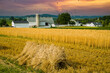 Amish farm near Lancaster, Pennsylvania.  Sheafs of wheat aka Bundle tied up