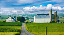 A Road Leading To Several Amish Farm Near Intercourse, PA