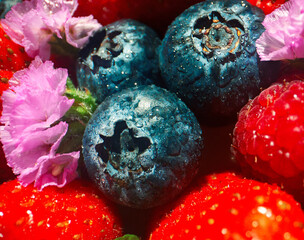 Wall Mural - Macro shot of fresh blueberries and strawberries composition.