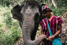 Man With An Elephant In The Reserve