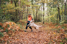 A Beautiful Woman Has Fun With Her Dog In Autumn