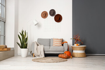 Interior of modern living room with comfortable sofa, houseplant and pumpkins