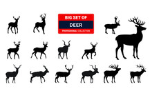 Big Set Of Deer Silhouettes. 