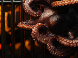 Wall Mural - Seafood and cooking.Octopus on a hot grill grate, frying and cooking. Healthy food, seafood