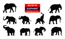  Set Of Black Elephant Silhouette Walking, Graphics Design Vector Illustration.