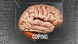Coping anatomy - its causes and effects projected on a human brain revealing Coping complexity and relation to human mind. Concept art, 3d illustration