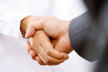 Wall Mural - Closeup of a business hand shake between two colleagues Plaid shirt