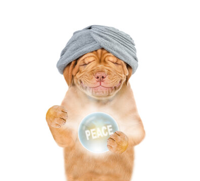 Smiling puppy fortune teller predicts world peace with magic ball. isolated on white background