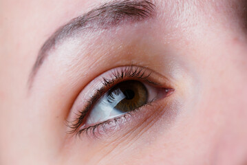 Wall Mural - Beautiful macro shot of female eye with extreme long eyelashes and black liner makeup. Perfect shape make-up and long lashes. Cosmetics and make-up. Closeup macro shot of fashion eyes visage