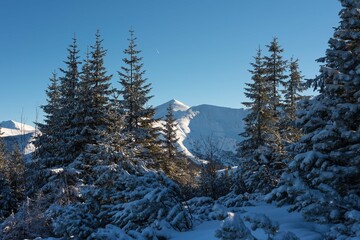 Wall Mural - beautiful winter views of the high tatra mountains with tourists, skiers and amazing states of natur