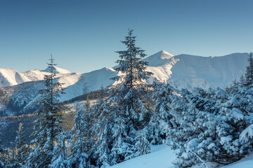 Wall Mural - beautiful winter views of the high tatra mountains with tourists, skiers and amazing states of natur
