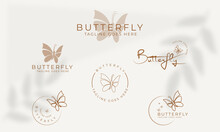 Beauty Butterfly Logo. Luxury Line Logotype Design. Universal Premium Butterfly Symbol Logotype.