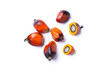 Group of oil palm fruit and cut in half sliced isolated on white background.
