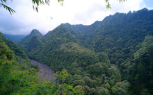 Green Hills With Lush Trees At The Foot Of Mount Merapi Which Also Functions As Vegetation To Withstand The Rate Of Avalanches Of Eruptive Material.