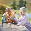 © Thurstan H/peopleimages.com - This wine is fantastic. Cropped shot of a senior couple out for a wine tasting.