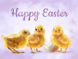 
Easter poster, card and banner template with Easter baby chicken on white background. Greetings and presents for Easter Day in art styling. Promotion and shopping template for Easter