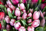 Fototapeta Tulipany - Świeże tulipany na targu kwiatowym
