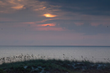 Wall Mural - Sunrise over the ocean