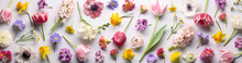 Spring Flowers Ranunculus,tulip, Tricolor Viola,daffodil Flatlay