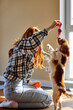 © Roman - Portrait of beautiful young redhead woman in casual wear with dog playing with toys at home, indoors, sitting on floor. Cute puppy with owner. Adorable King Charles spaniel breed. people and animals