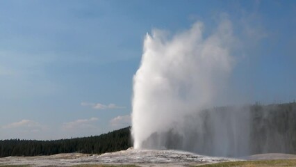 Wall Mural - The famous Old Faithful Geyser in the Yellowstone National Park 