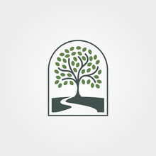 Vector Of Root Tree With River Logo Illustration Design