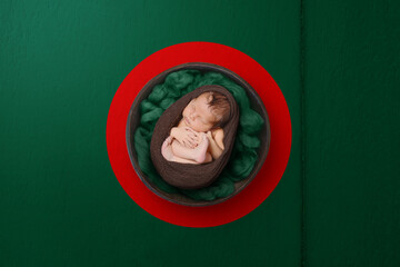 Newborn portrait on background in color of national flag. Patriotic photography concept. Bangladesh