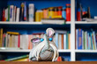 Ratte vor verschwommenem Bücherregal. Buch liebende graue Maus mit blauen Augen und rosa Ohren. Kein Bücherwurm sondern Leseratte Bibliothek concept image .