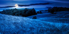 Beech Trees On The Hill At Night. Empty Alpine Meadow With Dry Grass In Full Moon Light. Countryside Landscape Of Carpathian Mountains In August