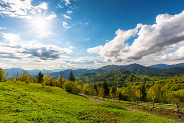 Wall Mural - countryside scenery of carpathian mountains. beautiful green landscape on a sunny afternoon in sprin