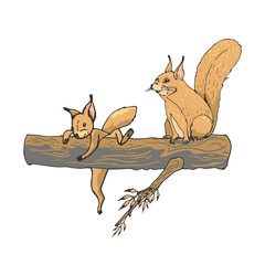 Wall Mural - two squirrels on a tree two squirrels on a tree graphic hand drawing, brown,