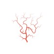 Human red eye veins, anatomy blood vessel arteries illustration. Vector medical eyeball vein arteries system map. Veins in flat style isolated on white background
