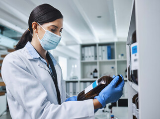 Wall Mural - chemistry answers so many questions. shot of a young female researcher working in a laboratory.