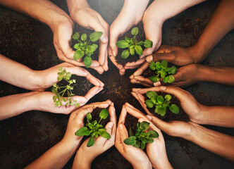Poster - The healing starts now. Cropped shot of a group of people holding plants growing out of soil.
