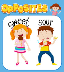 Wall Mural - opposite words for sweet and sour