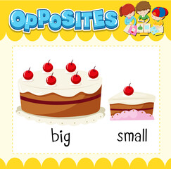 Wall Mural - opposite words for big and small