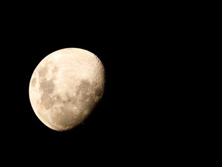 Wall Mural - close up of moon background