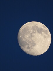 Wall Mural - close up of moon background