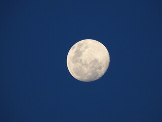 Wall Mural - close up of moon background