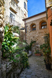 Fototapeta Uliczki - A narrow street among the old stone houses of Castellabate, town in Salerno province, Italy.	
