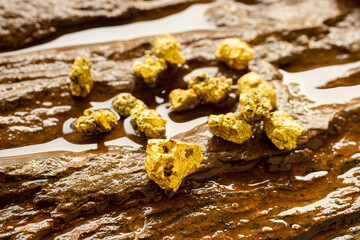 Sticker - A chunk of pure gold from the mine that was unearthed was placed on the rocky ground