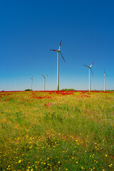 Wall Mural - Beautiful farm landscape with meadow red and yellow flowers and wind turbines to produce green energy in Germany, Summer, at sunny day and blue sky.