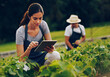 © Lyndon Stratford/peopleimages.com - Smart farmers use smart technology. Shot of a young woman using a digital tablet while working in a garden with her husband in the background.