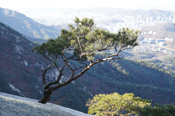 Wall Mural - On New Year's morning, cold, clear lights and energy surround the mountain.January 1, 2022 Bukhansan Mountain