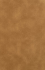 Wall Mural - photo background, background for photo shoot, brown color background, portrait backdrop